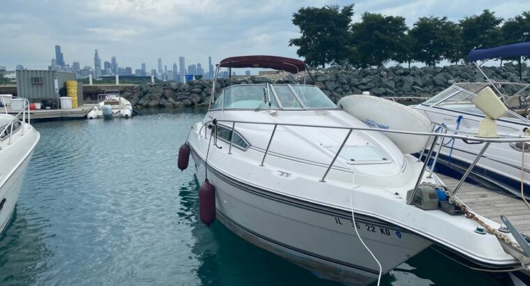1992 Regal valanti 260