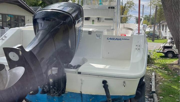 1994 Sea Ray Laguna 21’