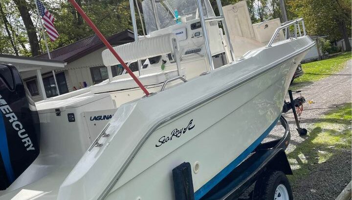 1994 Sea Ray Laguna 21’