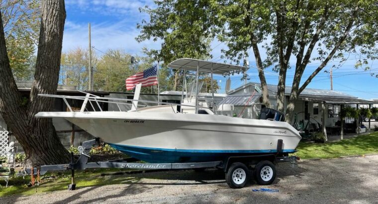 1994 Sea Ray Laguna 21’