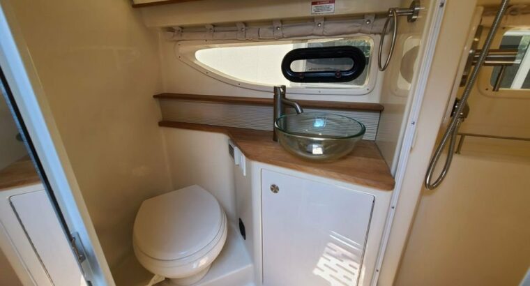 2017 Sea Ray Sundancer 350