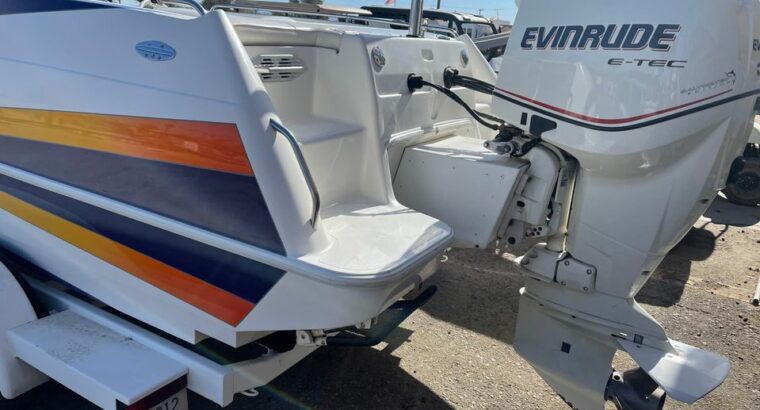 1999 MAGIC DECK BOAT 24’