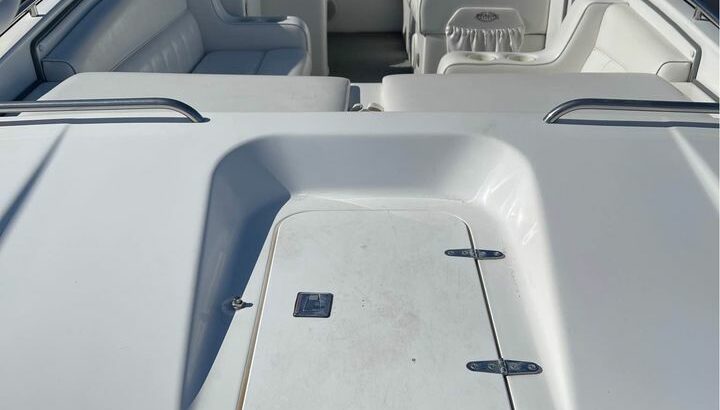 1999 MAGIC DECK BOAT 24’