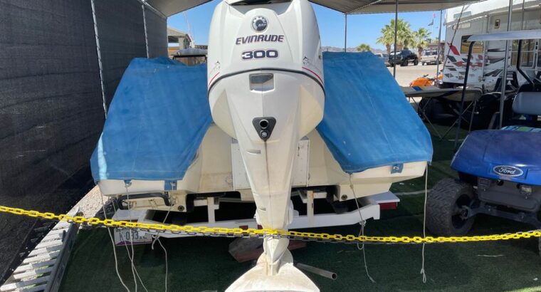 1999 MAGIC DECK BOAT 24’