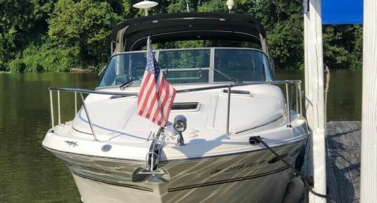 Sea Ray 290 Sundancer