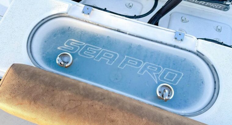 2021 SeaPro 259