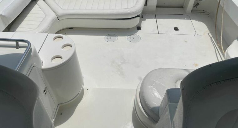 2002 SeaRay amberjack 340