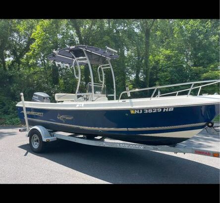 2003 Aquasport osprey 200