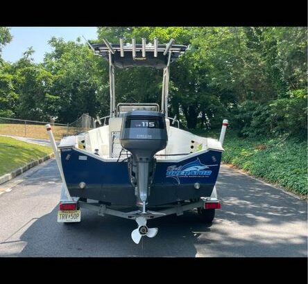 2003 Aquasport osprey 200