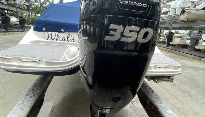 2018 Sea Ray sdx 270
