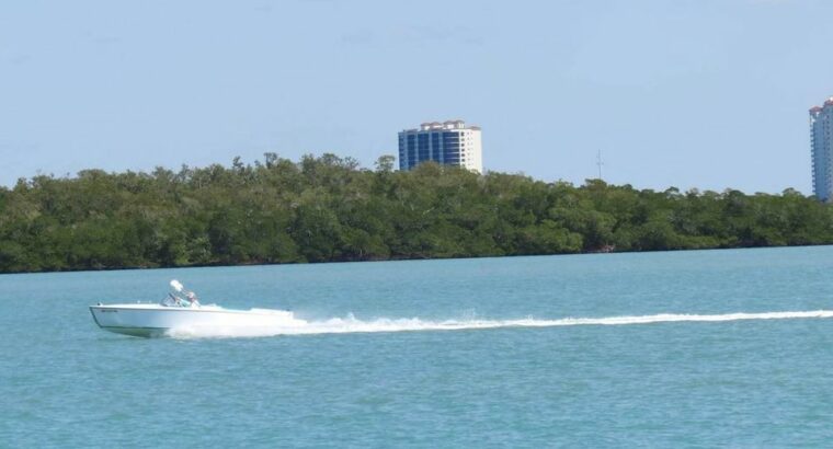 2013 Cherubini floridian