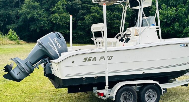 2004 Sea Pro