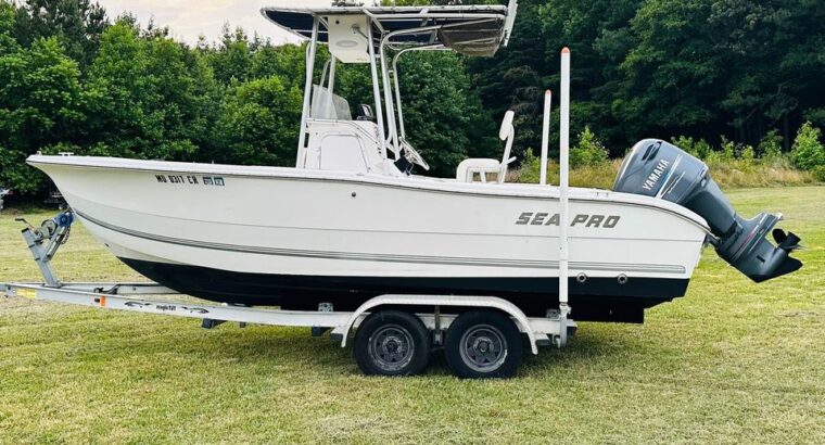 2004 Sea Pro