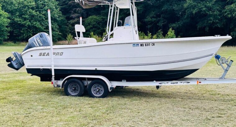 2004 Sea Pro