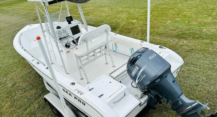2004 Sea Pro